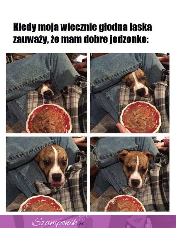 Już taka jest