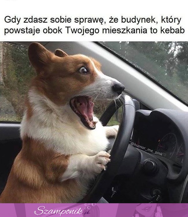 No coś podobnego!