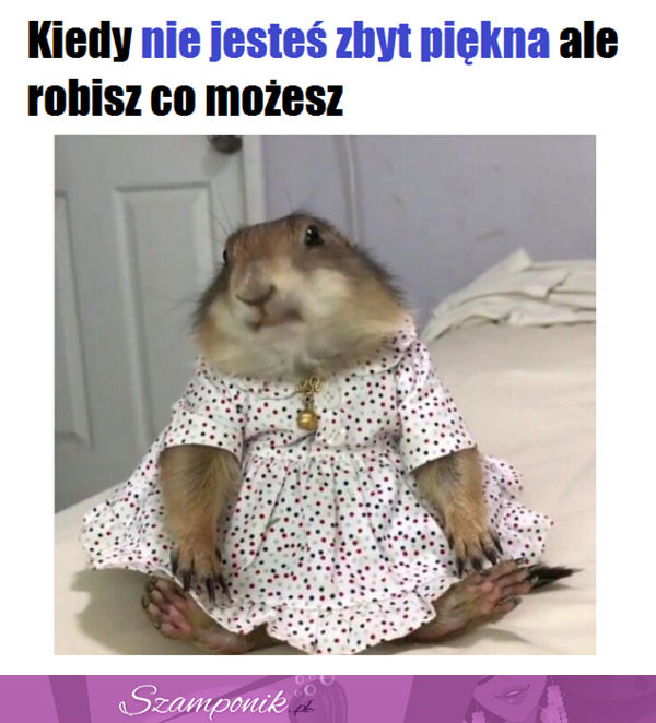 Dobrze mi idzie