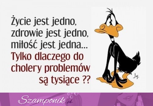 Życie jest jedno...