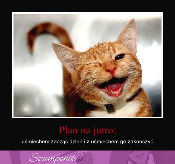 Plan na jutro!