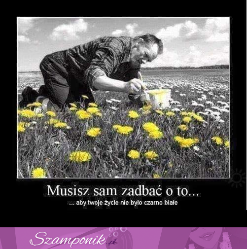 Musisz sam o to zadbać