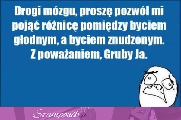 Mózgu! Proszę Cię!