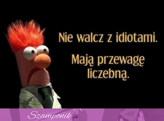 Nie walcz z idiotami