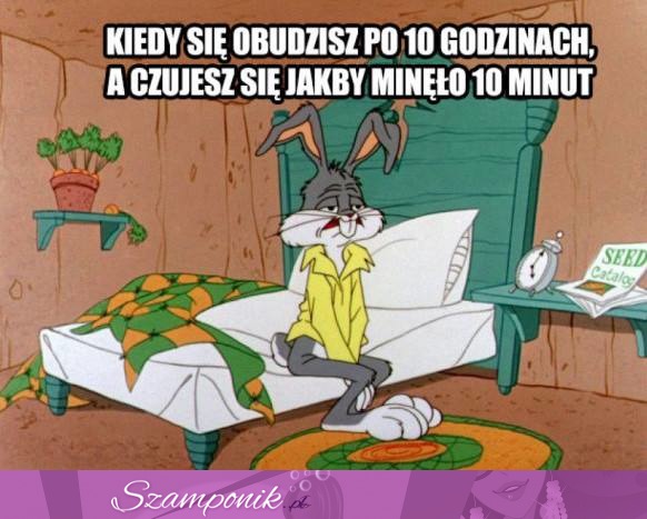 Kiedy się obudzisz po 10 godzinach