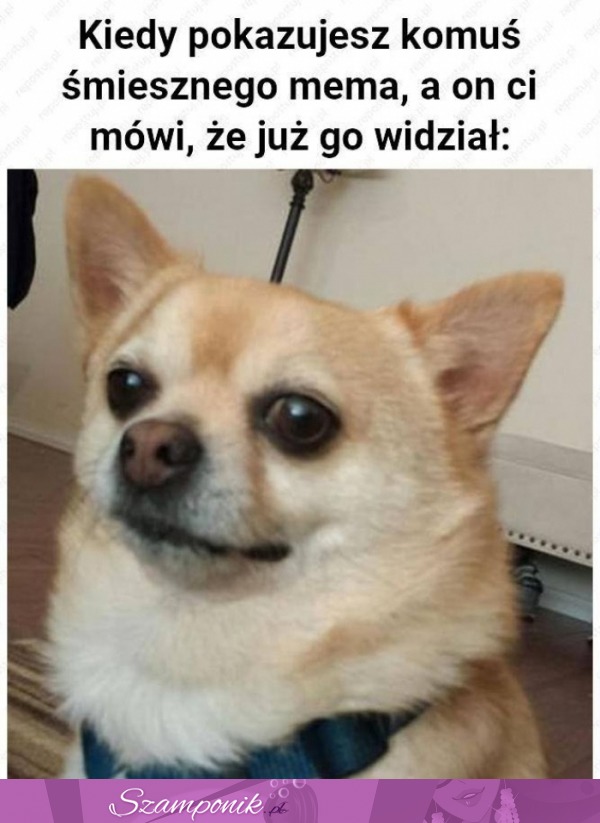 Mogłeś chociaż udawać...