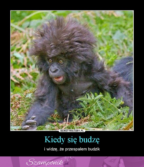 Kiedy się obudzę