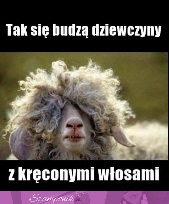 Poranna fryzura, czyli... Tak się budzą dziewczyny z kręcony włosami, haha!