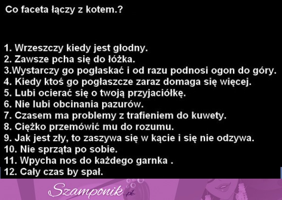 Zobacz co łączy faceta z kotem, haha! :D