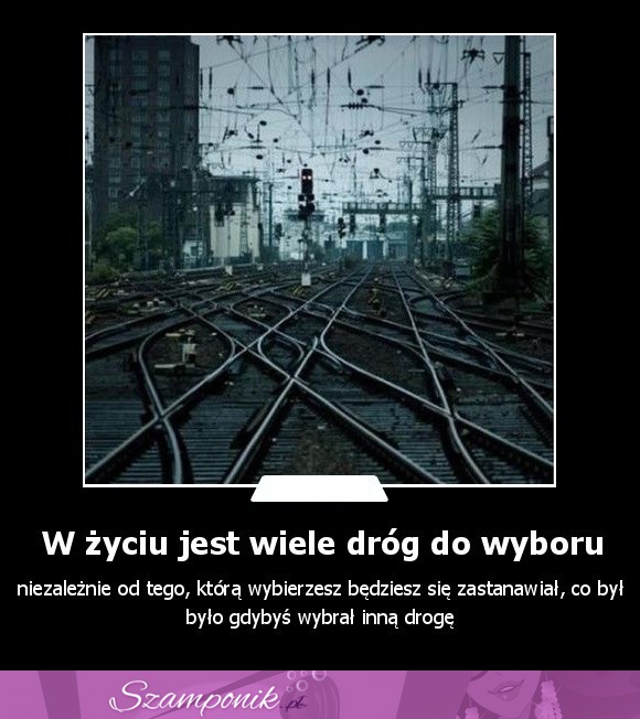 W życiu jest wiele dróg do wyboru