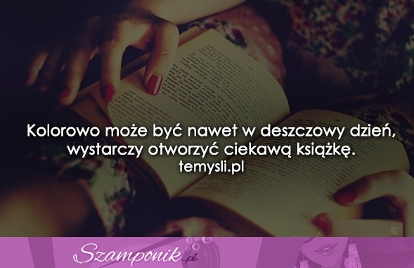 Kolorowo może być nawet w deszczowy dzień