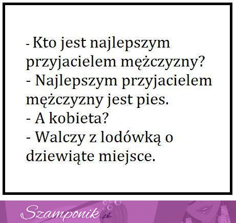 Najlepszy przyjaciel faceta