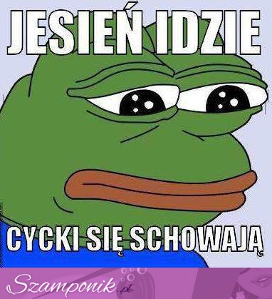 Jesień idzie...