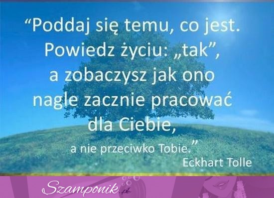 Poddaj się temu co jest.