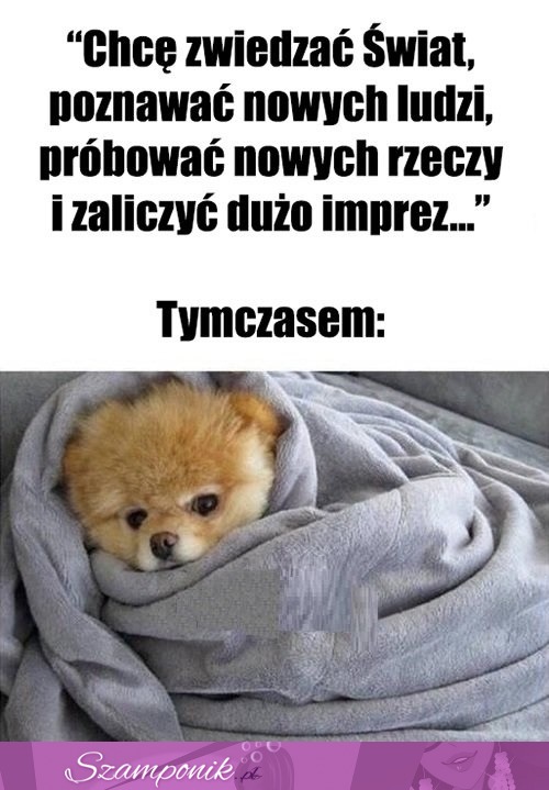 Tymczasem...