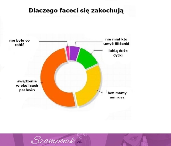 Dlaczego faceci się zakochują- zobacz ten WYKRES!