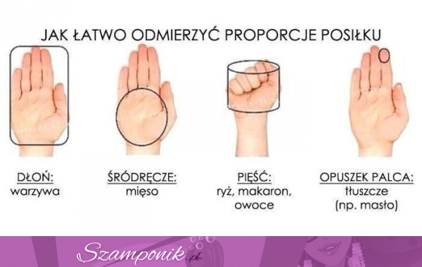 Łatwy sposób na odmierzenie proporcji posiłku