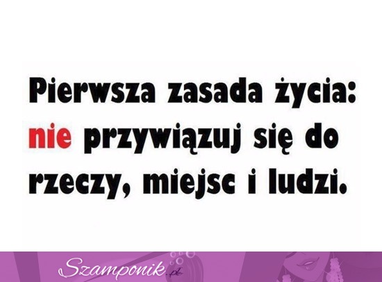 Pierwsza zasada życia