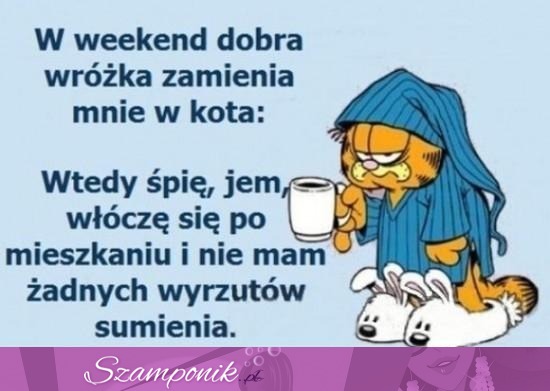 W weekend jestem kotem