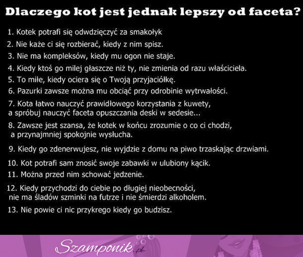 Dlaczego kot jest lepszy od faceta? Zobacz 13 powodów!