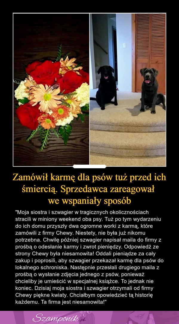 Zamówił karmę dla psów tuż przed ich śmiercią. Sprzedawca zareagował we wspaniały sposób