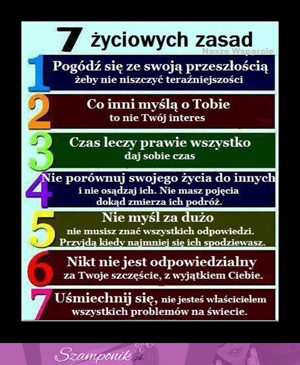 Zobacz siedem życiowych zasad