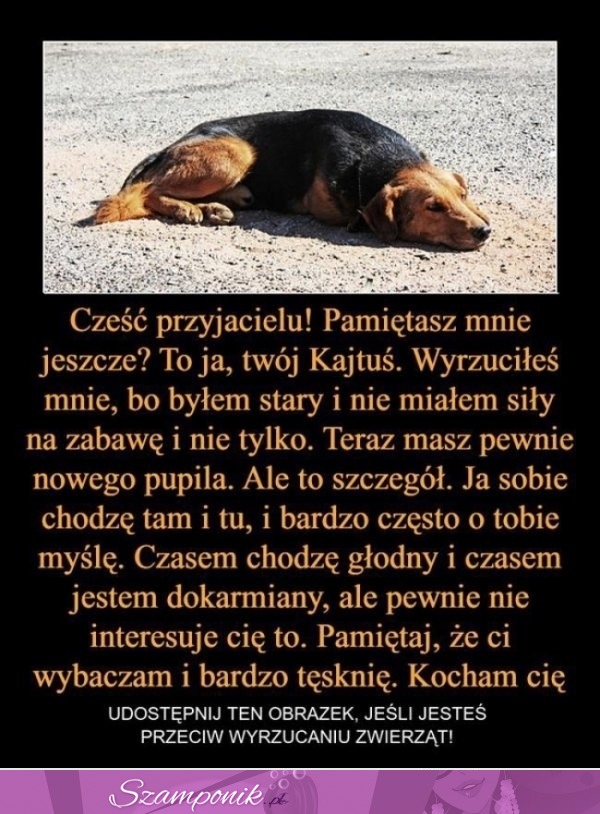 Jak można być takim człowiekiem bez serca?