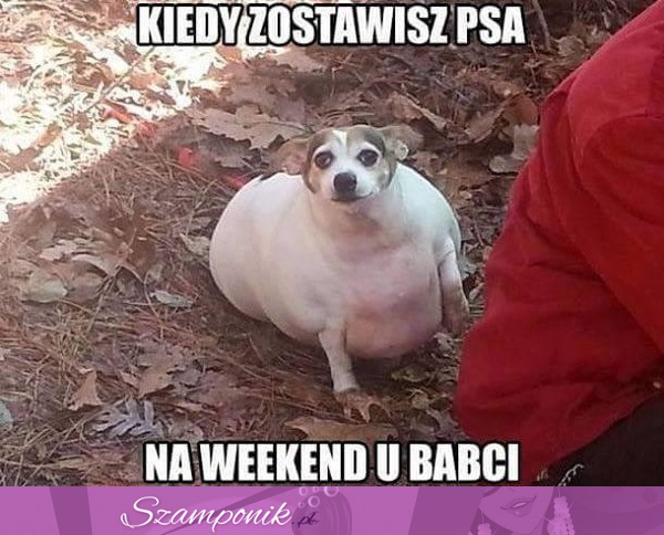 Co ona zrobiła...