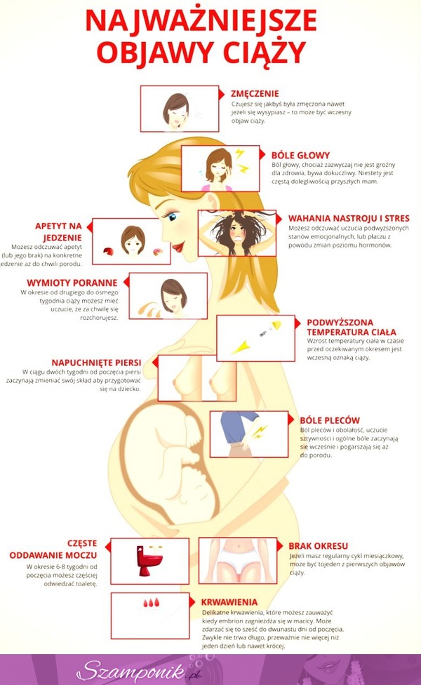 Zobacz jak rozpoznać pierwsze objawy ciąży