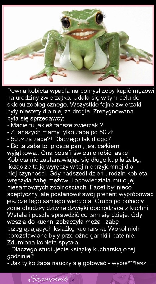 Żona kupiła mężowi żabę na urodziny... Sprawdź dlaczego właśnie ŻABĘ, mocne