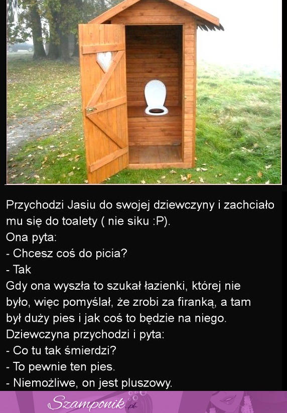 Przychodzi Jasiu do swojej dziewczyny i zachciało mu się do toalety... haah mocne!