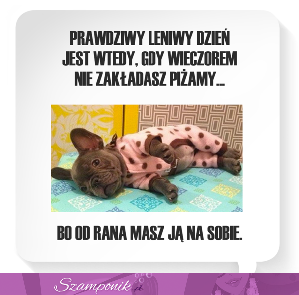 Prawdziwy leniwy dzień