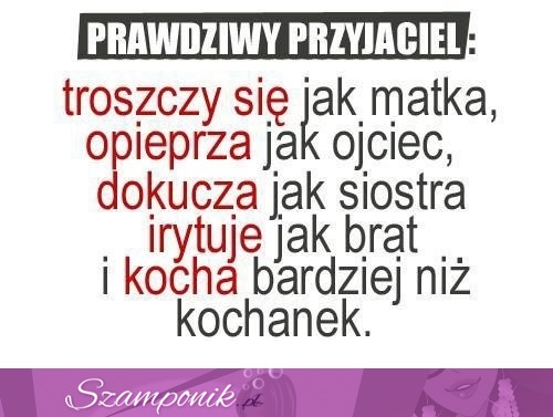 Prawdziwy przyjaciel!!