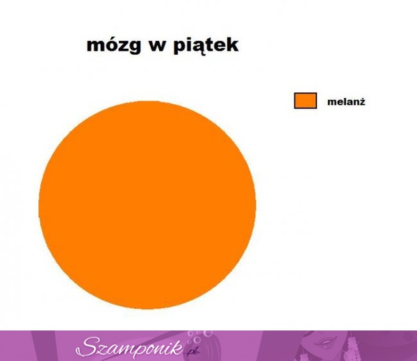 Mózg w piątek