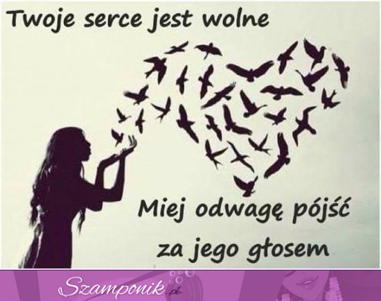 Twoje serce jest wolne