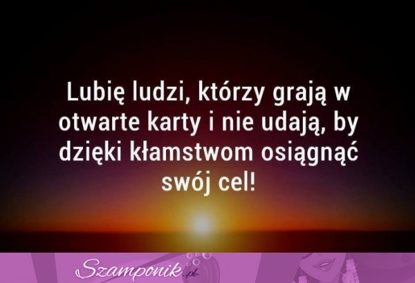 Lubię ludzi, którzy...