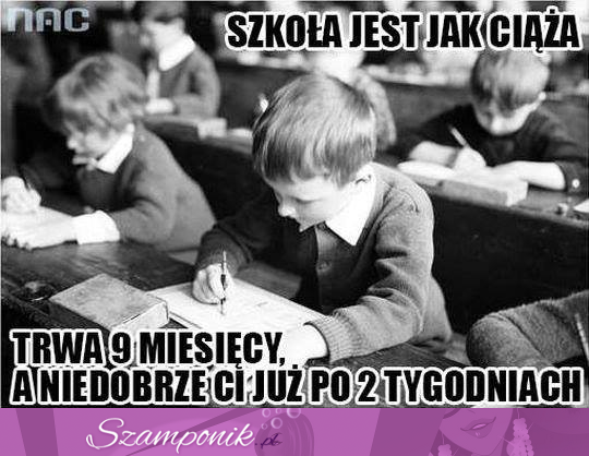 Szkoła jest jak ciąża, trwa 9 miesięcy, a niedobrze Ci po...