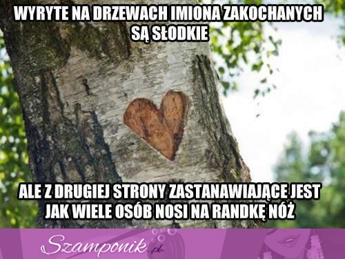 Wyryte na drzewach imion zakochanych są słodkie, ale z drugiej strony...