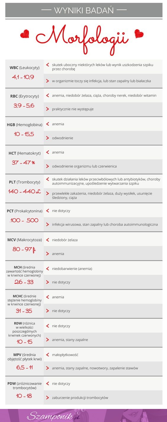 Sprawdź, co mówią twoje wyniki badań morfologii!