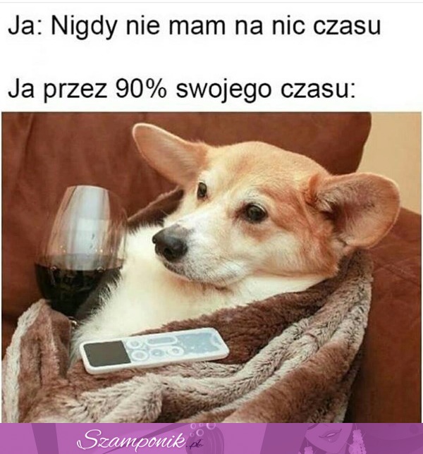 Nie mam czasu