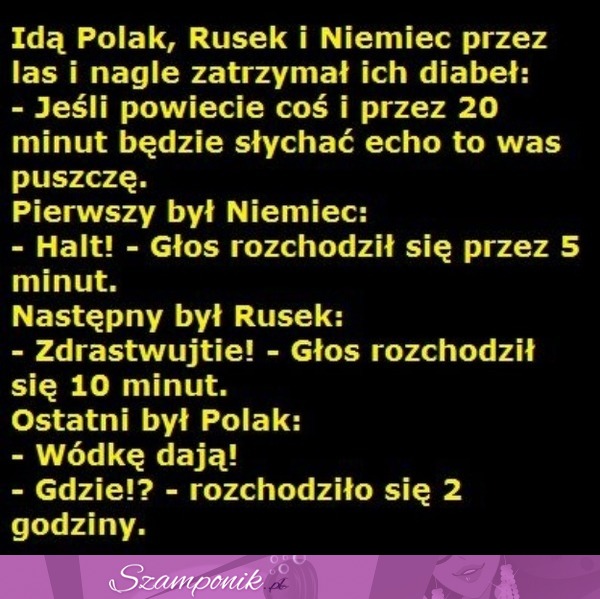 Idą Polak, Rusek i Niemiec przez las i nagle zatrzymał ich diabeł... :D