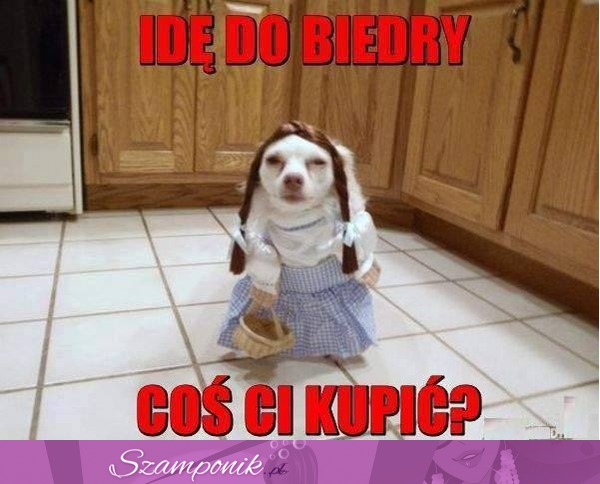 idę do biedy... :D