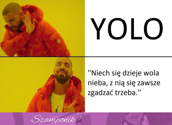 Yolo