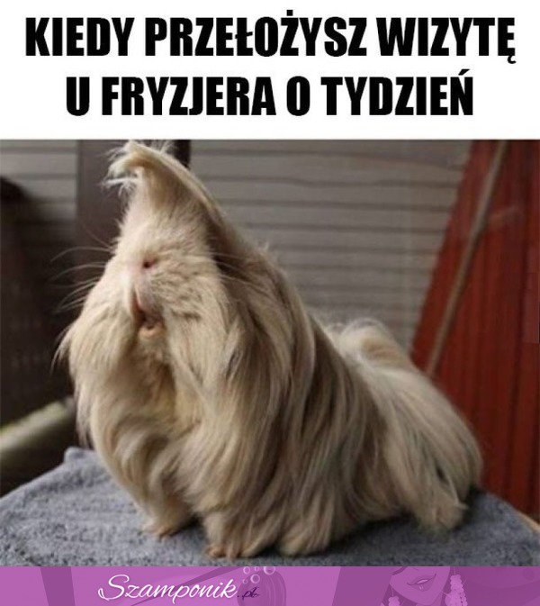 Tak się dzieje ;D