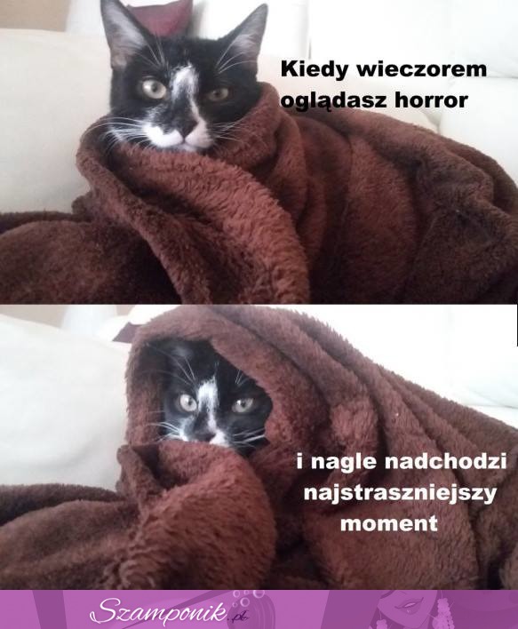 Kiedy wieczorem oglądasz horror