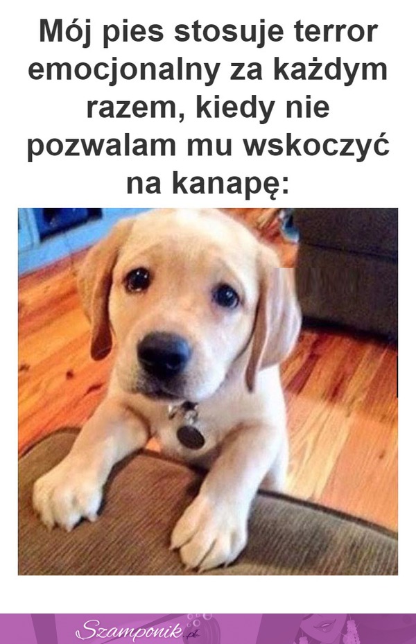 I wiesz jak to sie kończy...