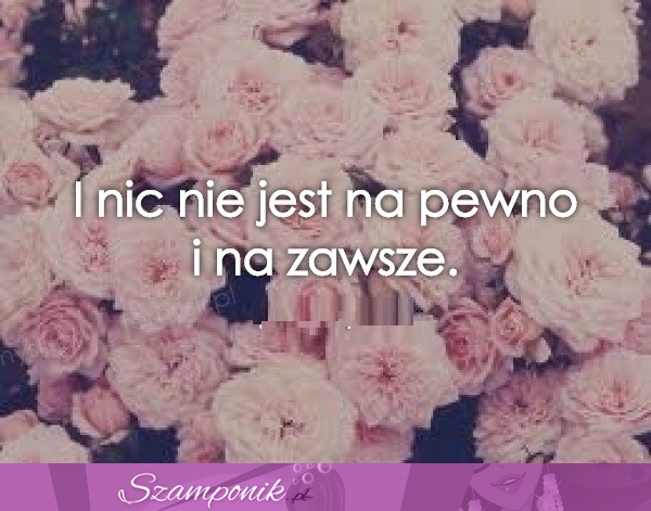 I nic nie jest na pewno...