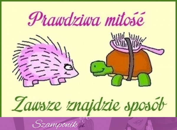 Prawdziwa miłość