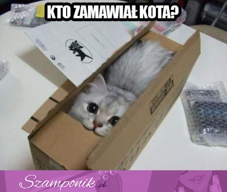 Czy ktoś zamawiał?:D