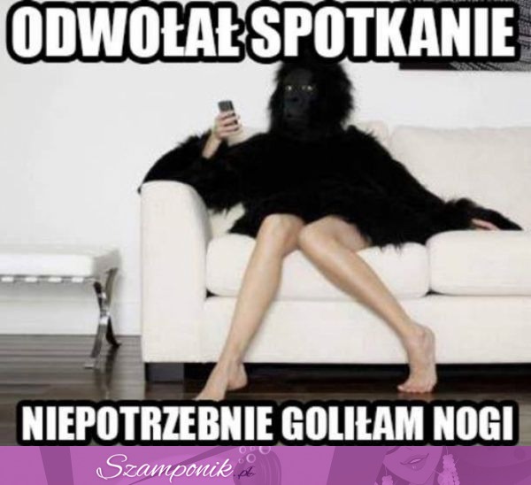 Odwołał spotkanie...